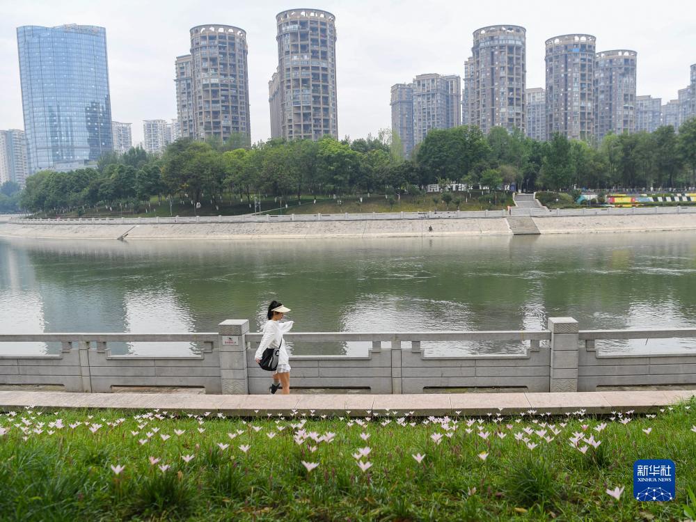 游戏新普京网址